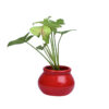 air purifier plants for home