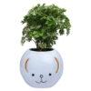 cat smile pot
