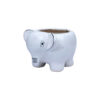 vitri greens elephant pot