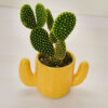 Bunny Ear with Cactus Pot