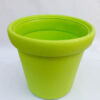Green Crown Pot