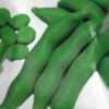 Bakla Vegetable Seeds