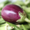 Brinjal f1 Hybrid Vegetable Seeds