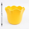 4.1 inch Daisy Plastic Pot