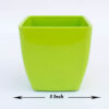 5 inch Pearl Pot
