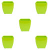 Set of 5 Pearl Pot