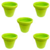 Set of 5 Crown Pot