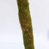 Moss Stick (3 Feet)
