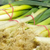 Leek vegetable pics