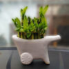 cart ceramic pots